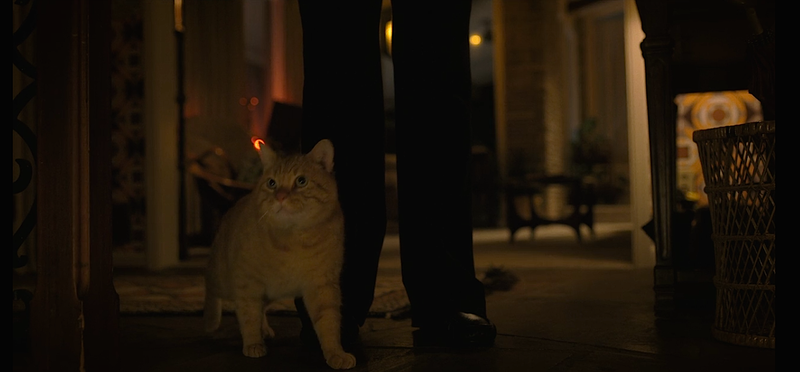 Mews the cat (Screenshot: Stranger Things)